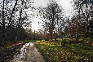 LA GARENNE LEMOT