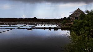 La TRINITÉ sur MER