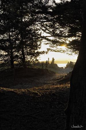 PINÈDE de KERVILLEN, la TRINITÉ sur MER