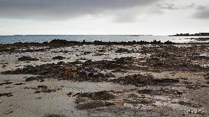 La TRINITÉ sur MER