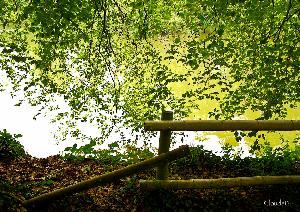 PARC BOTANIQUE de HAUTE BRETAGNE