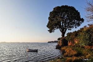 SAINT PHILIBERT