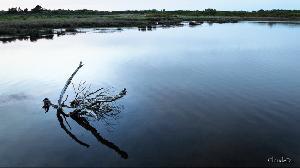MARAIS du BRENNEGI, LOCMARIAQUER