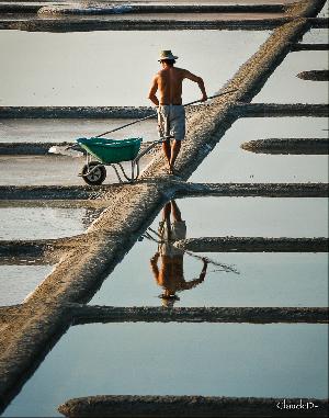 SALINE de KERVILLEN, la TRINITÉ sur MER