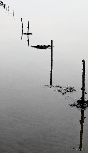 RIVIÈRE de SAINT PHILIBERT, LOCMARIAQUER