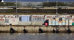 LORIENT