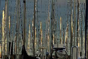 La TRINITÉ sur MER