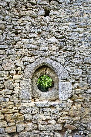 CHAPELLE des TEMPLIERS, CLISSON